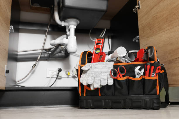 Best Local Plumber Services  in Newbern, TN